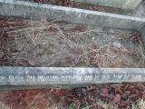 image of grave number 373024